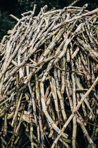 Natural glycolic acid derived from sugar cane - an exfoliating and skin-brightening ingredient in Jumping Java skincare