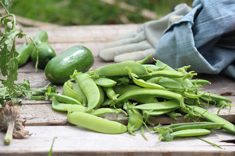 Organic Gardening: Nurturing Your Garden Naturally