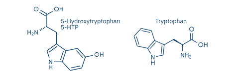 5htp-zu-tryptophan-unterschied-970x300