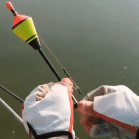 GORYNI™ Automatic Fishing Float
