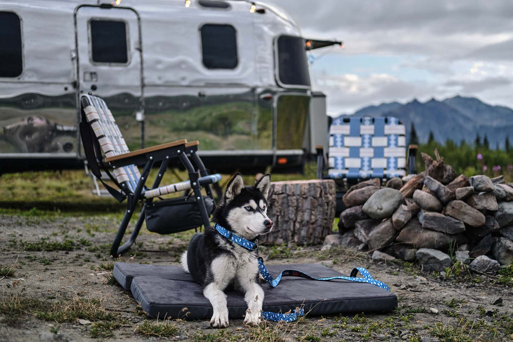 Airstream Under Dinette Dog Bed