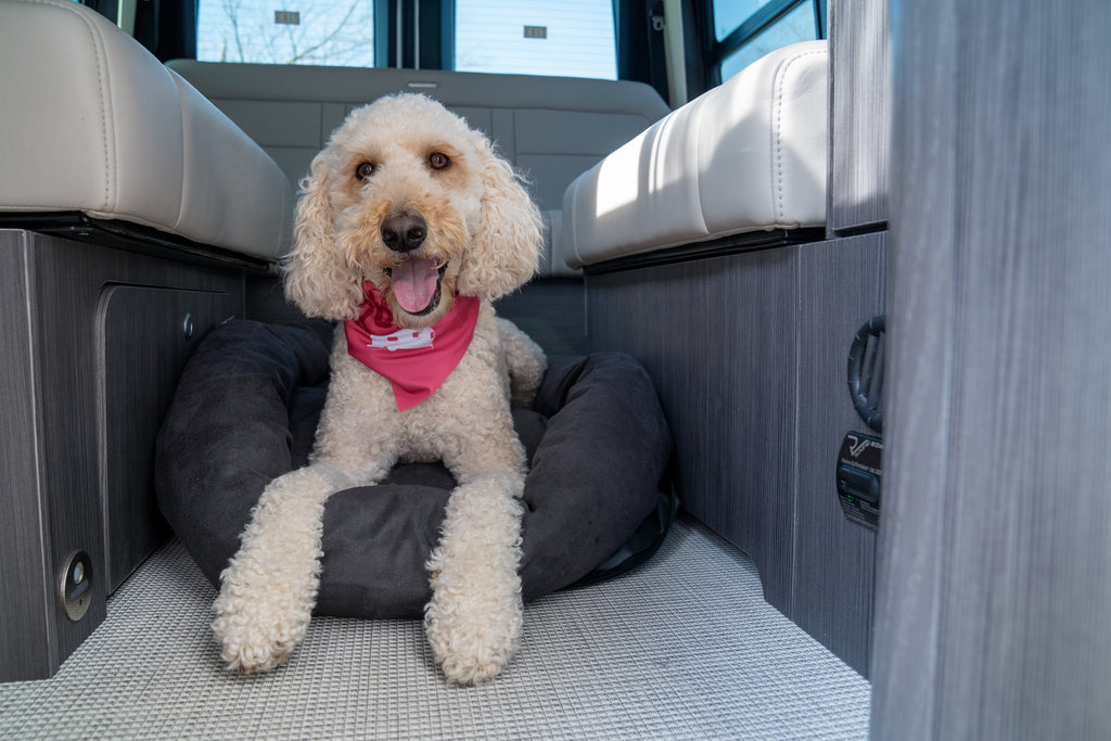 Travel Dog Bed