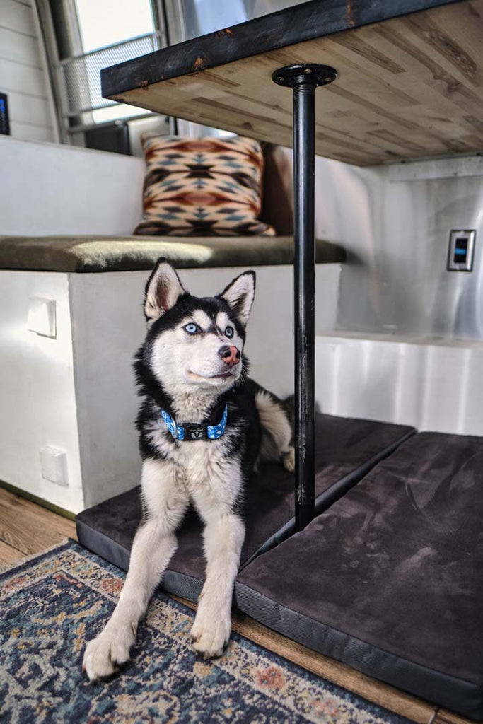 Dog sitting under dinette on dog bed