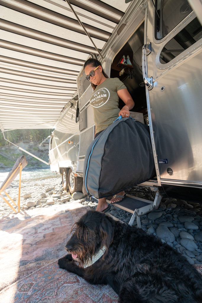 Travel Pet Bed