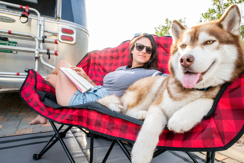 Bear Buddy Double Chair