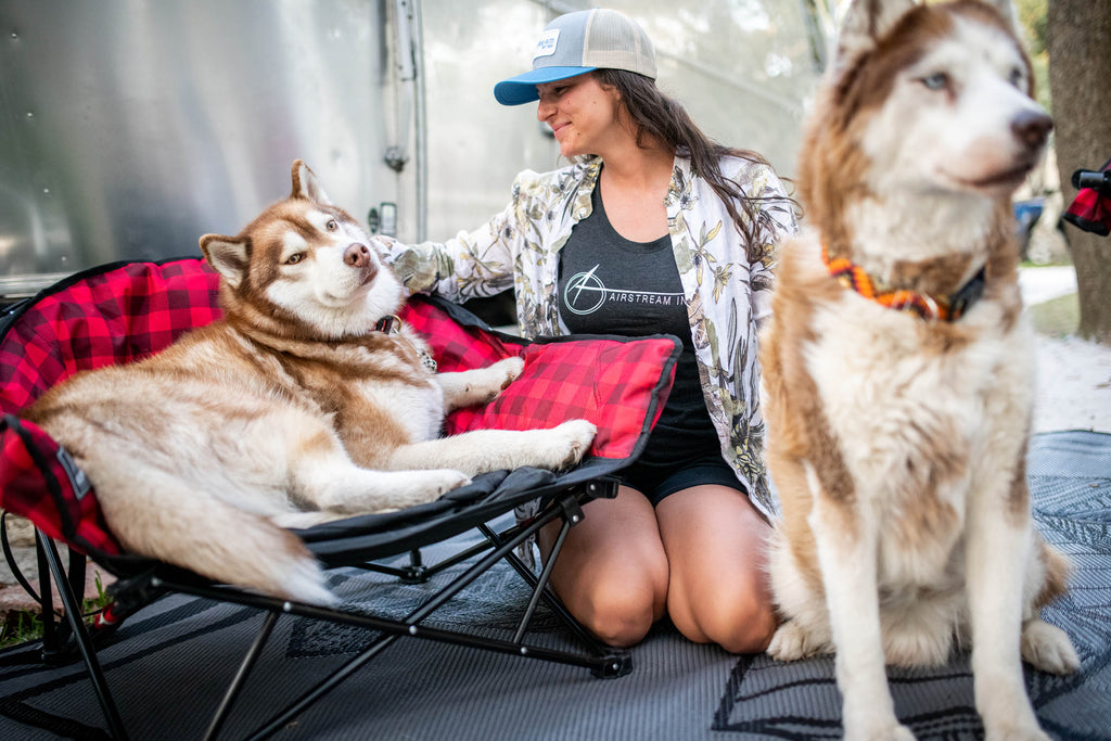 Lazy Bear Dog Bed Chair