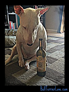 Benefits-of-Olive-Oil-on-English-Bull-Terriers