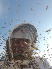 Garvin attracts honey bees, knows how to attract the ladies.. ha ha ha