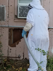 Bee Removal from outside the home 2022