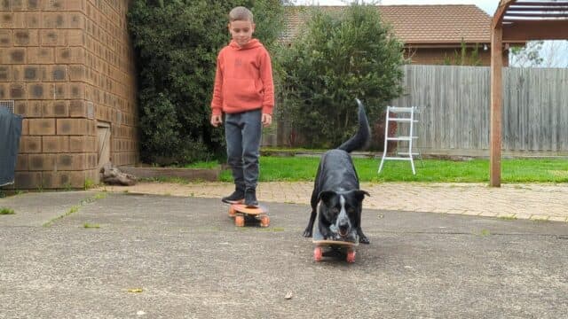 a young boy and a koolie riding a skateboard as a trick