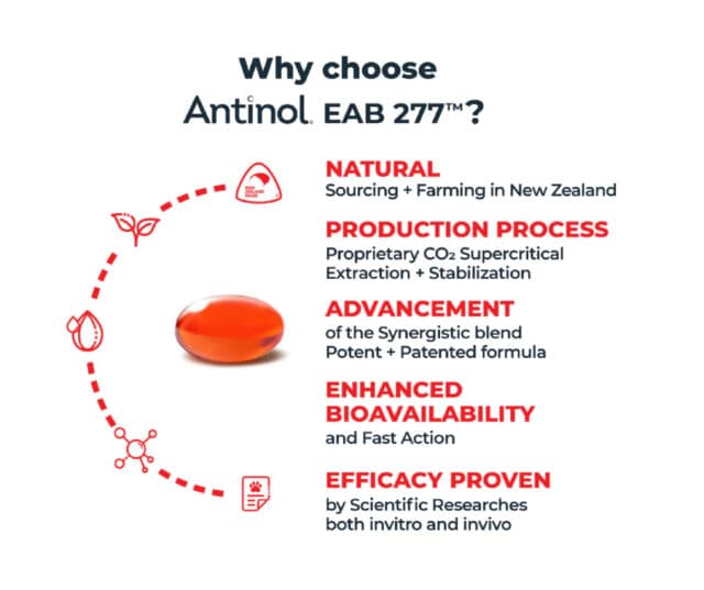 antinol rapid key facts. natural, proven, capsule