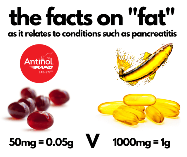 Antinol vs fish oil for dogs and pancreatitis 