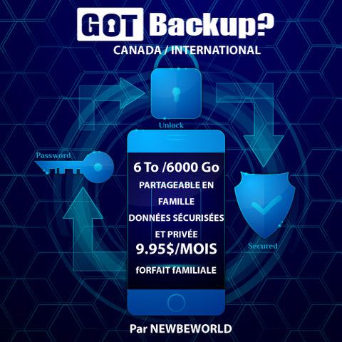 gotbackup par Newbeworld