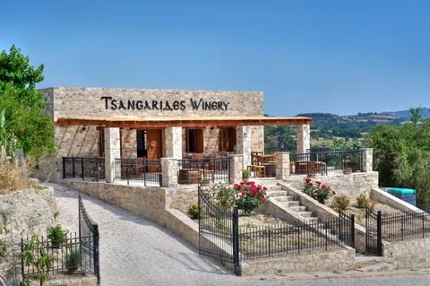 Tsangarides Weingut auf Zypern