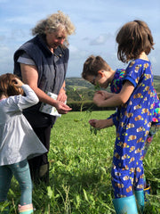 Lovaton Farm Educational Visits 