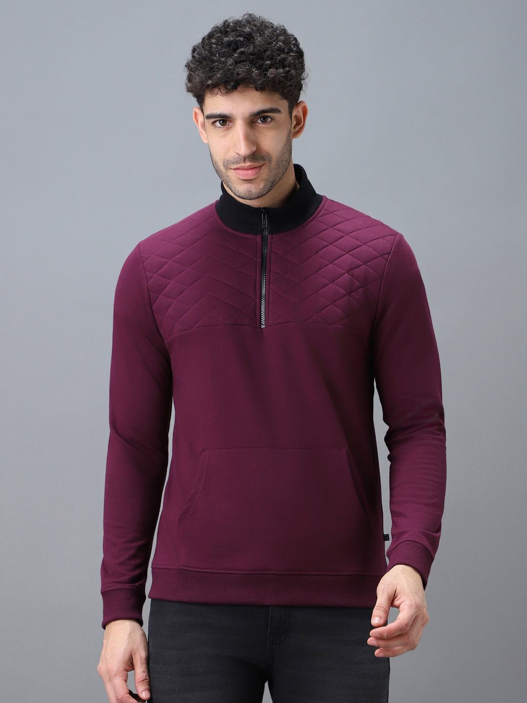 Men's Purple Cotton Solid Zippered High Neck Sweatshirt