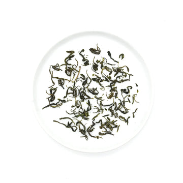 Onyx Coffee Lab Xinyang Mao Jian Green Tea - Fresh Harvest 2022 | Authentic Hand-Processed Tea from Henan Province, China