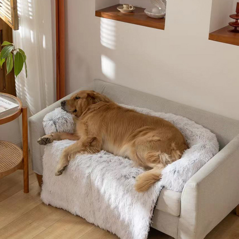 furniture protector for dogs,sofa protector for dogs,calming furniture protector,animal sofa protector,protector,sofa protector for cats,furniture protector,sofa protector,animals,pet sofa protector,sofa protectors,sofa protector cover,best pets sofa protector,rescuing animals,cute animals,animals the dodo,the dodo animals,sofa protectors amazon,sofa protectors uk,calming furniture protector pet bed,best sofa protectors,sofa protectors ikea Sebastians shop