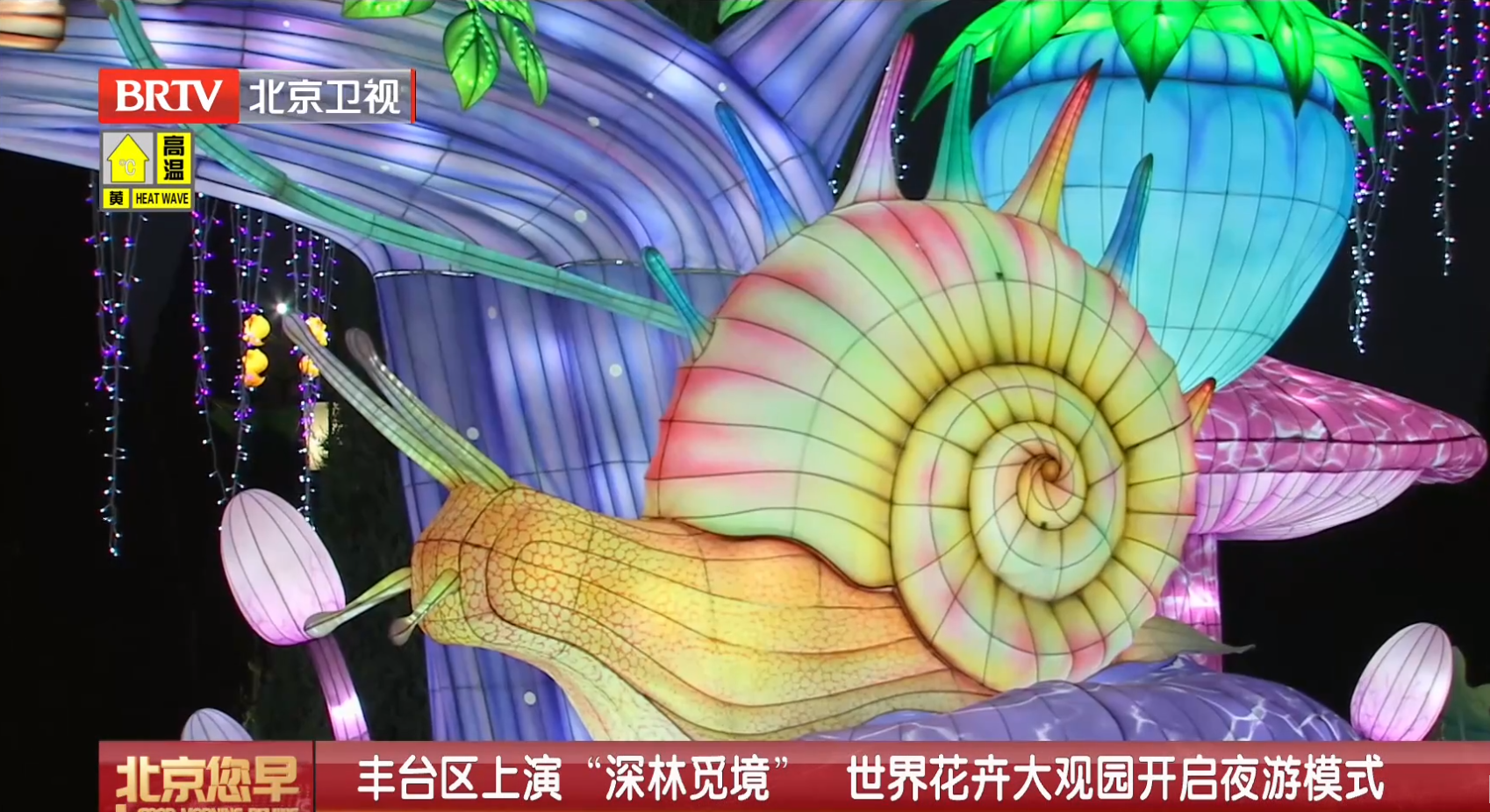 Beijing Lantern Festival, animal lanterns, insect lanterns (3)