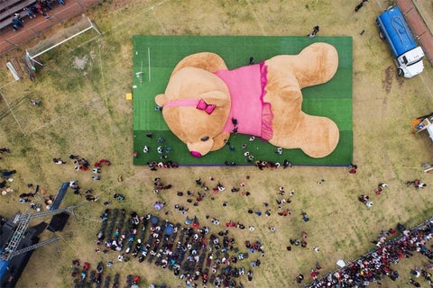 Teddy Bear World Records – Best Dressed Bears