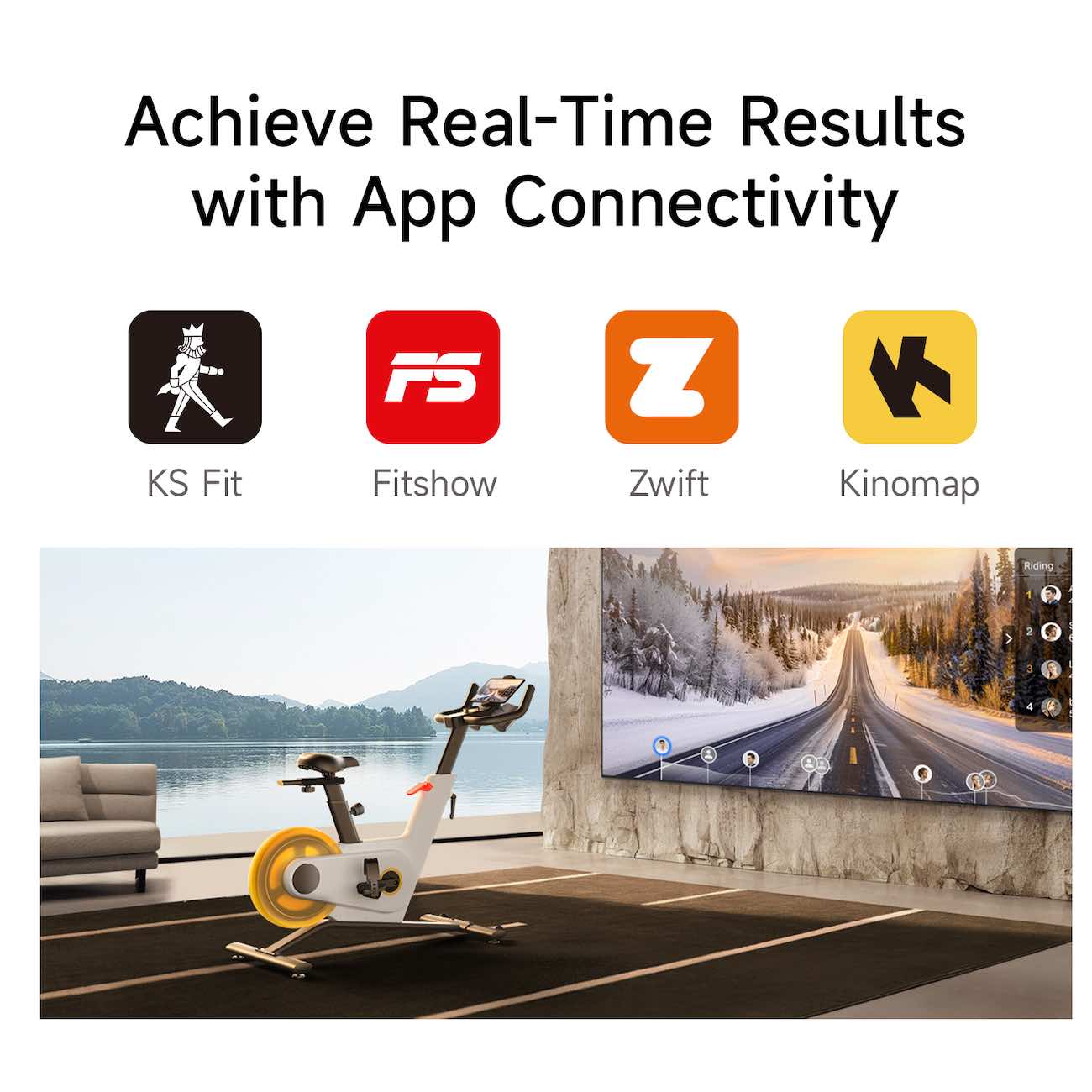 https://cdn.shopify.com/s/files/1/0759/6569/4298/files/SB2.jpg?v=1748335406