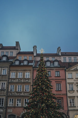 European Christmas Markets to Visit