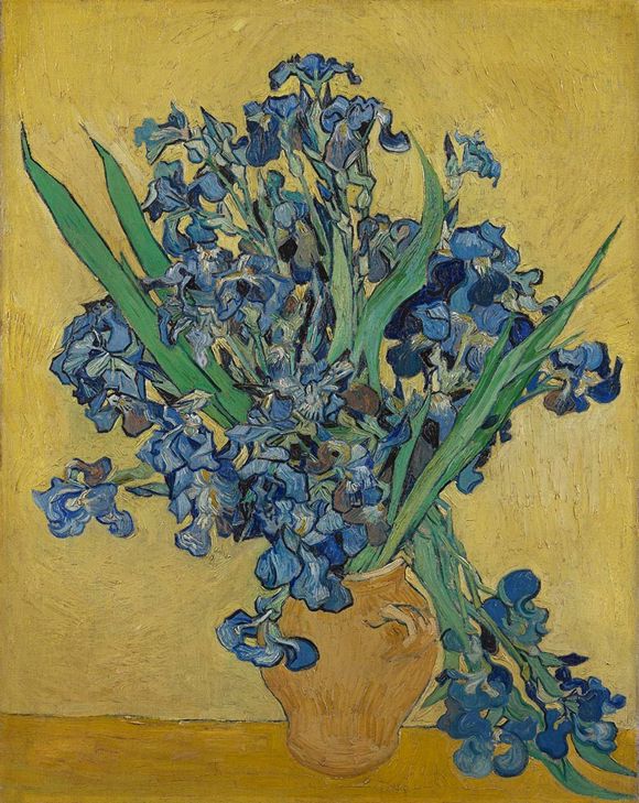 Vincent van Gogh, Irises, May 1890, via MFAH.org courtesy of The Van Gogh Museum, Amsterdam (Vincent van Gogh Foundation).