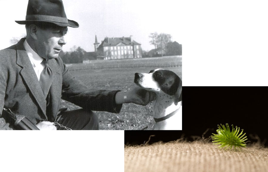 George De Mestral, Erfinder des Klettverschlusses, mit seinem Hund und einer getrockneten Klettenblüte, der die Technologie inspirierte.