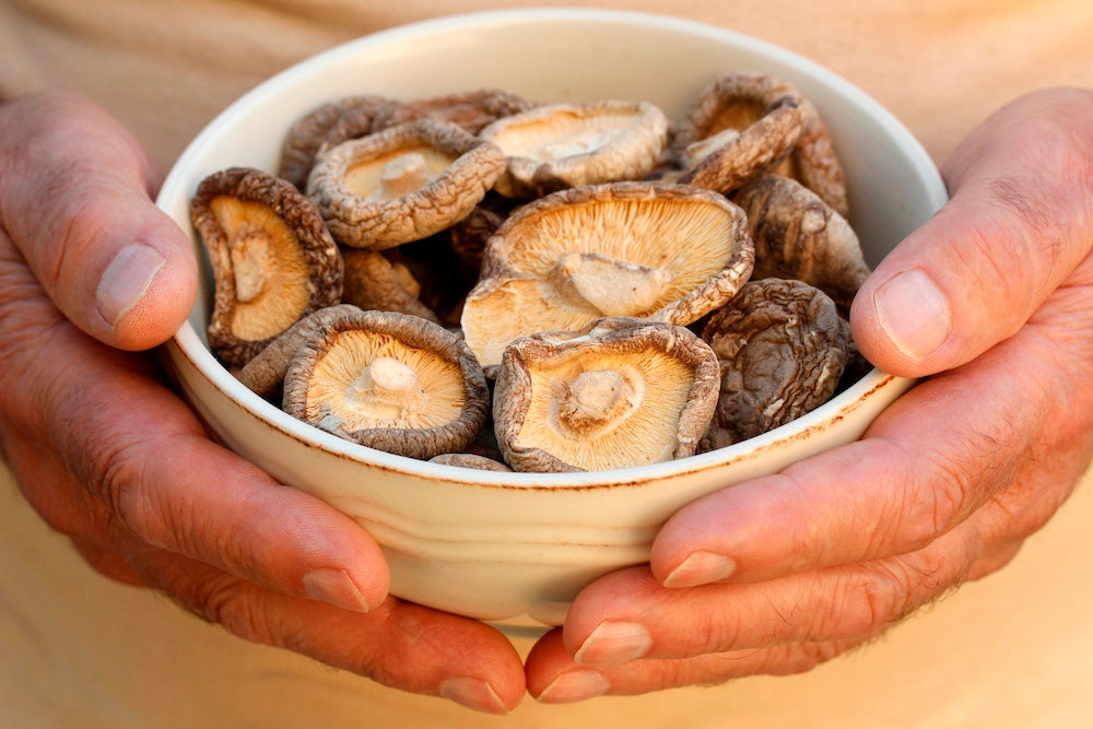 Dehydrated mushrooms