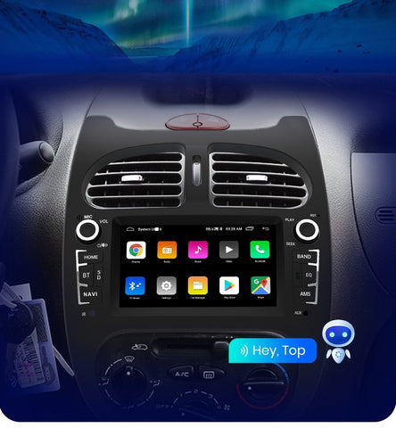 Radio Navegación PEUGEOT 206 2001-2016 Android 11 Carplay GPS