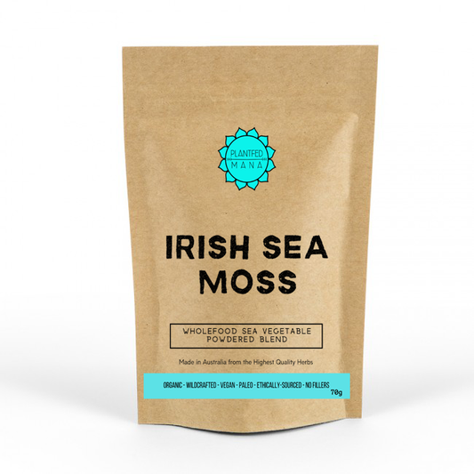 Irish Sea Moss I Organic & Wildcrafted – Plantfed Mana