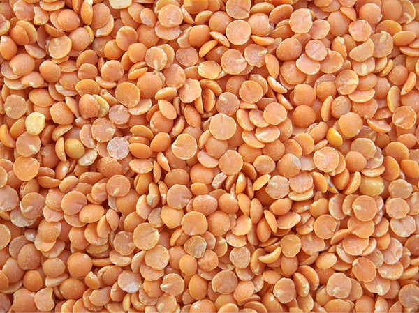 Lentils - Best Protein Rich Food for Weight Loss