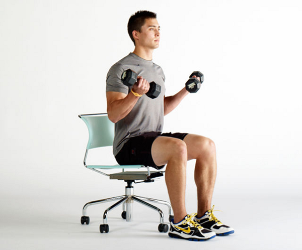 Seated Bicep Curls