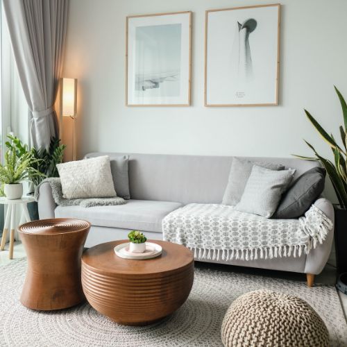 Salon avec canapé gris, table basse en bois brun, mur couleur crème avec 2 tableaux accrochés, quelques plantes et une lampe
