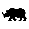 rhino