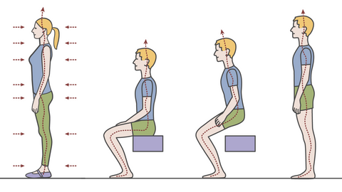 Eine Zeichnung einer gesunden, zentrierten Stehposition und der richtigen Art und Weise, sich aus einer sitzenden Position zu erheben.