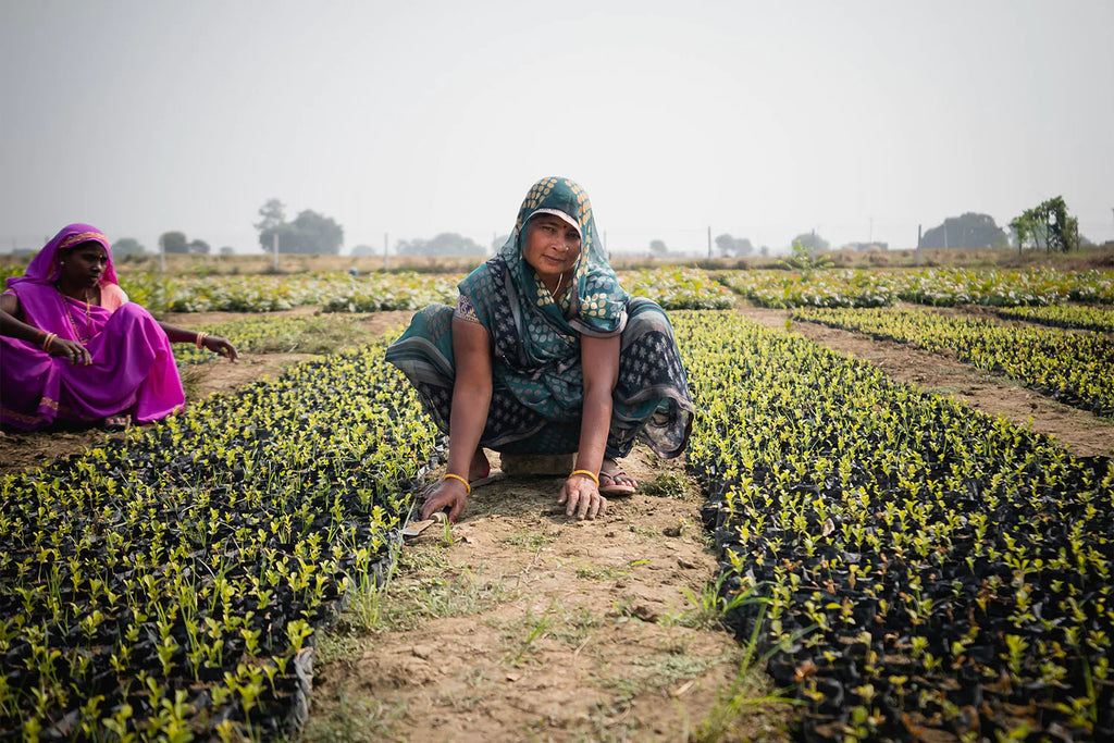 women planted tree