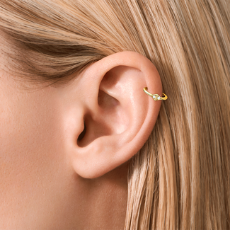 Ear with a helix piercing.