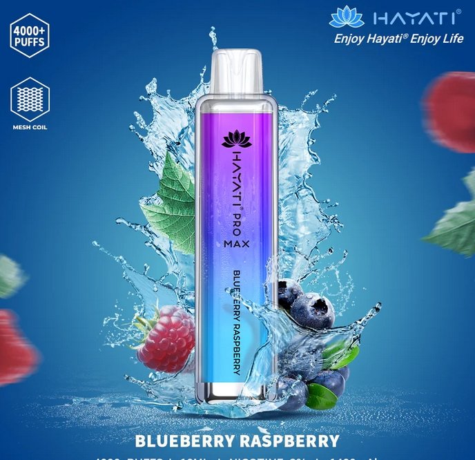 Hayati Pro Max 4000 Disposable Vape Puff Bar Box of 10 - Blueberry Raspberry -Vapeuksupplier