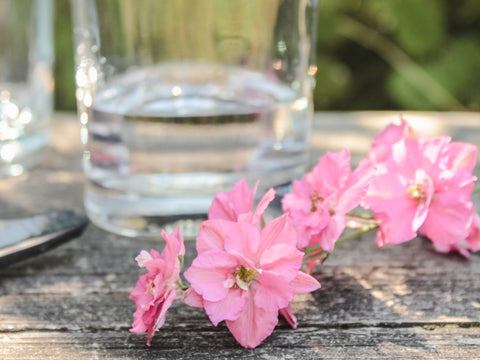 Blog: So bleiben deine Schnittblumen lange schön - Detail
