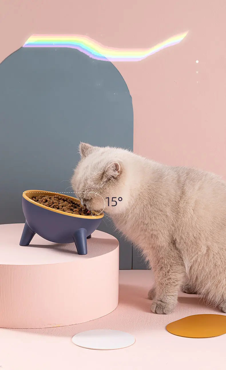 Cat Dog Bowl With Stand