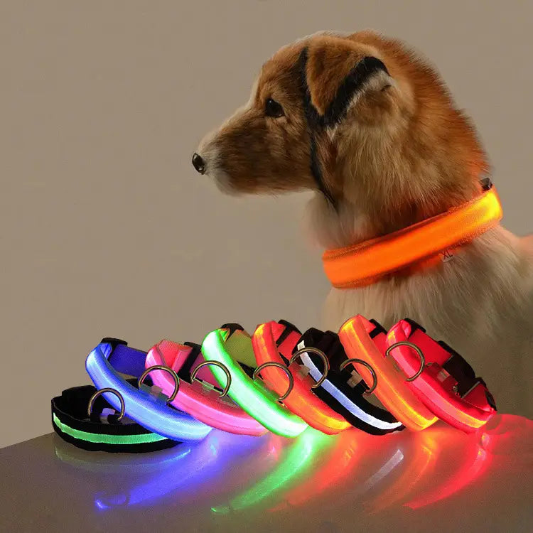 LED Dog Collar for Safety