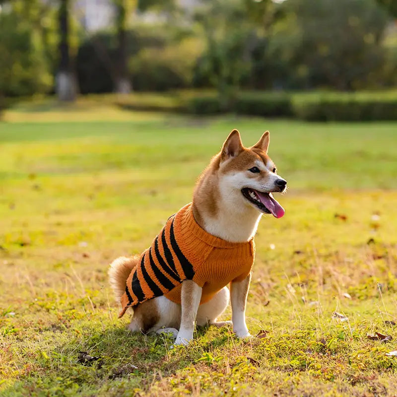 Teddy Warm Leisure Sweater Pet Costume