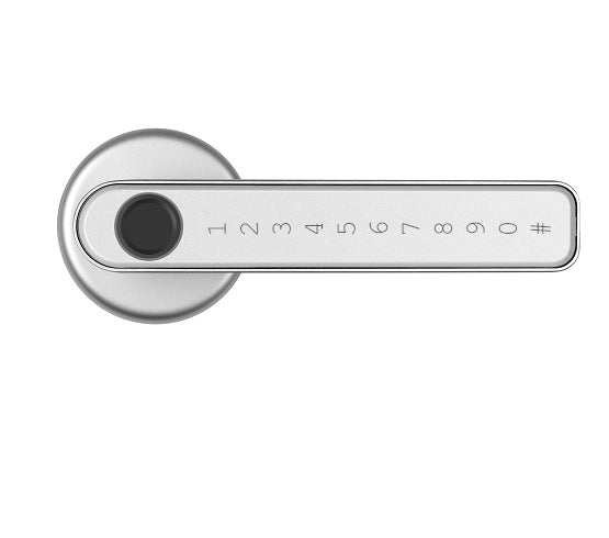 Single Row Electronic Fingerprint Lock