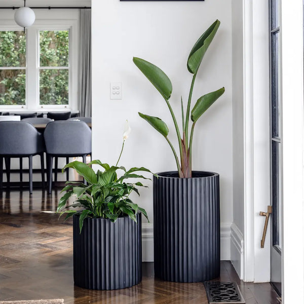 Indoor pot plants in grey