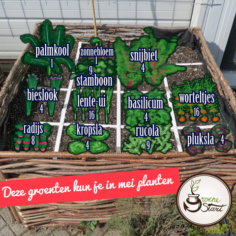 makkelijke moestuin bak indeling 