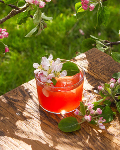 Damson Blossom, seasonal vodka cocktail recipes