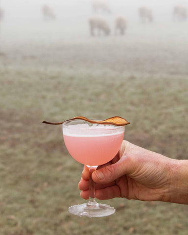 Rhubarb Martini, Botanical vodka, Winter cocktail recipes, seasonal drinking