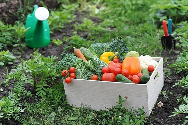 5. Home grown garden vegetables
