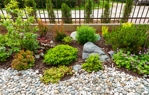 The most beautiful rockeries - photos of modern rockeries in the garden